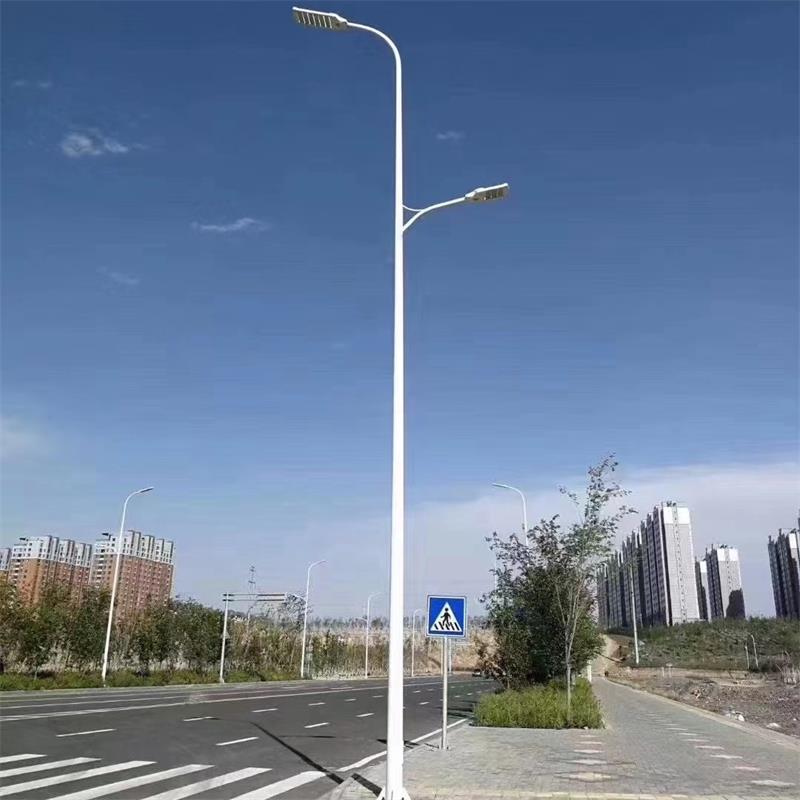 New Type of Road Lamp for Outdoor Municipal Engineering of Xinyonghong Expressway Double Lamp Head Municipal Electric LED Street Lamp