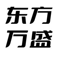 北京东方万盛科技有限公司 - 公司logo