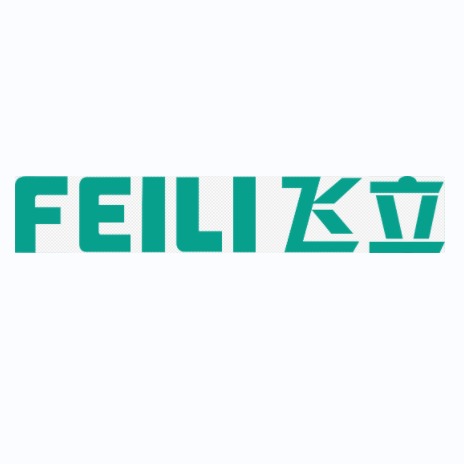深圳市飞立电器科技有限公司