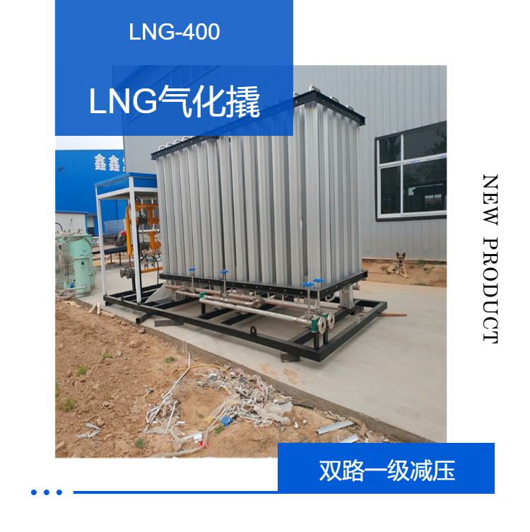 The manufacturer provides 400 square meters of small lng gasification equipment for the LNG gasification pry bottle group gasification station