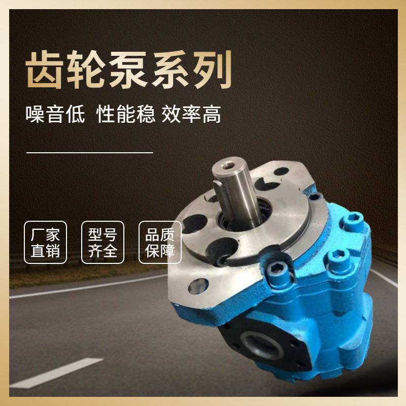 供应泊姆克双联泵1121012179 1150041595 1121012672型号多样
