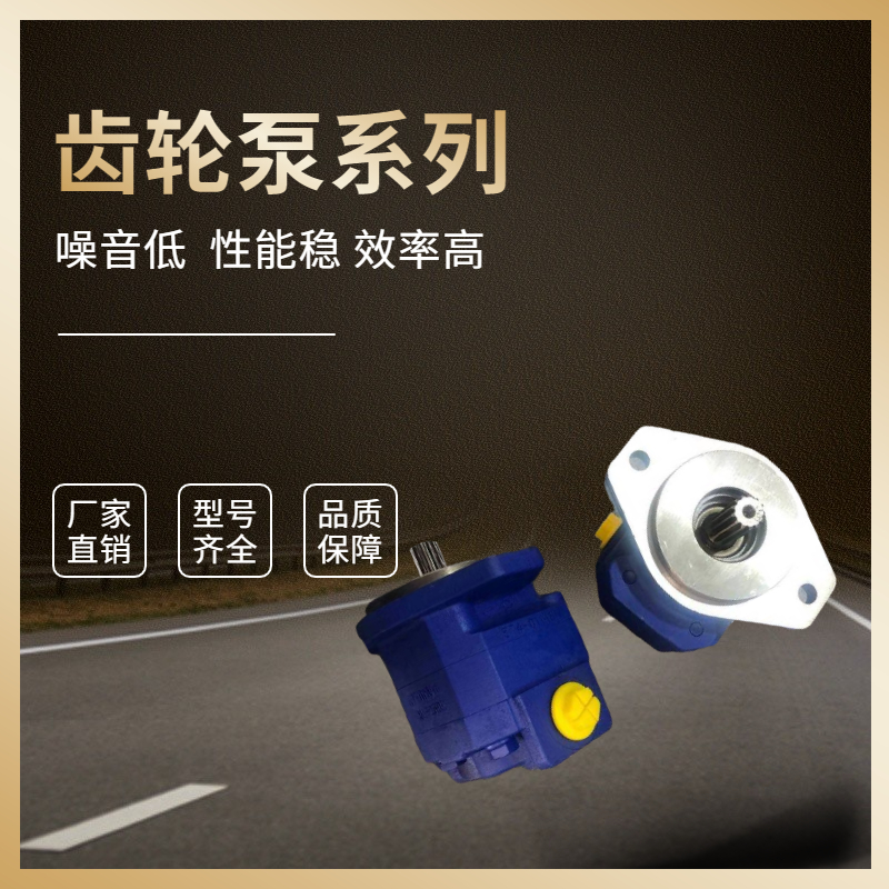 供应P5100A467ADPN22-6 112101267 泊姆克齿轮泵1150041595