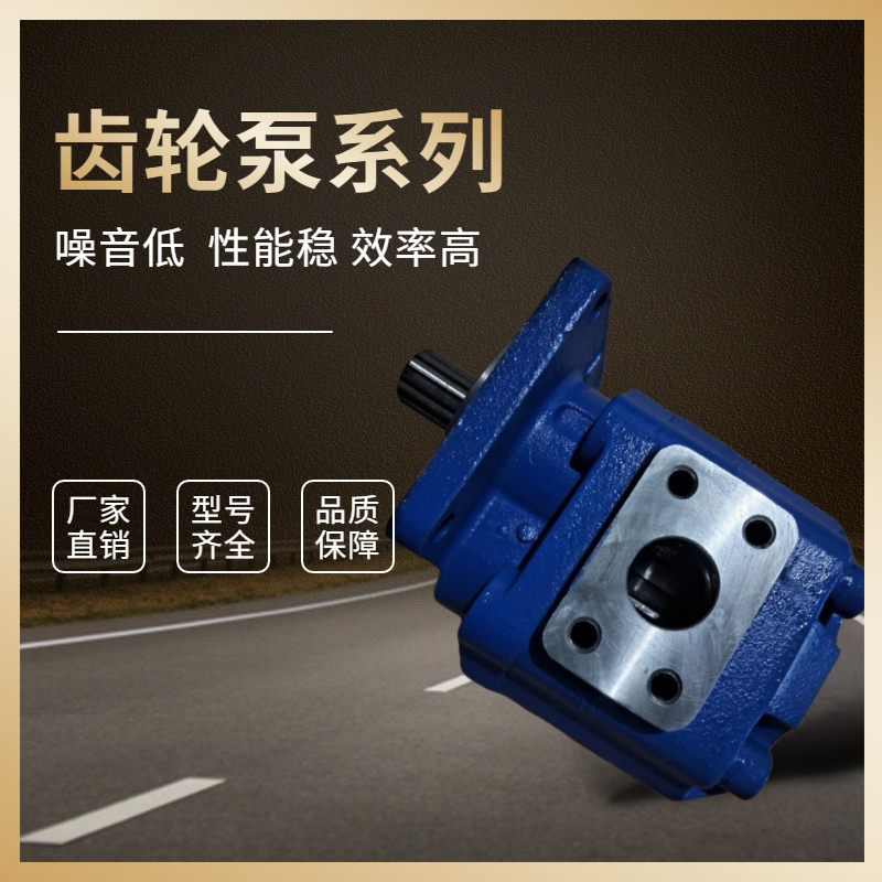 供应非标齿轮泵 CBY2040-1TL齿轮泵