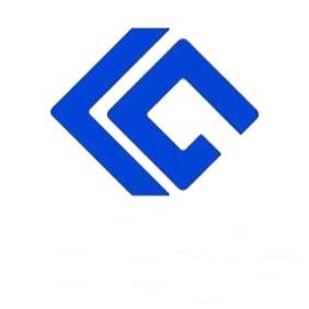 临沂国力化工有限公司 - 公司logo