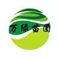 洛阳市洛龙区万绿苗圃