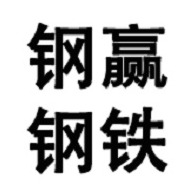 佛山钢赢钢铁贸易有限公司 - 公司logo
