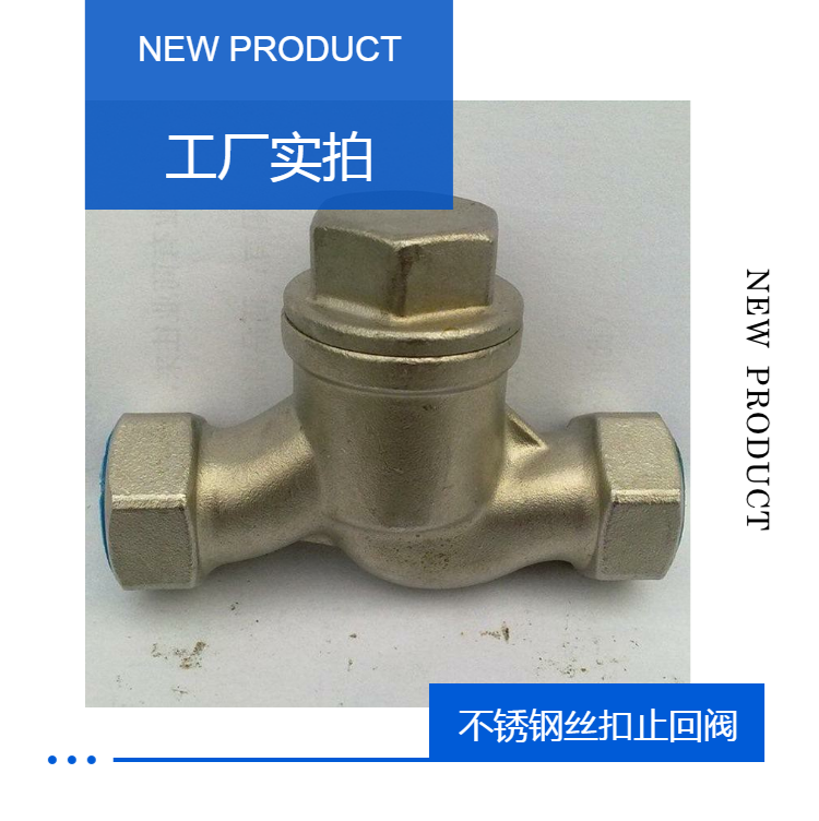 Xinhong Valve H11W Stainless Steel Thread Check Valve Slag Discharge and Return Ceramic Large Bore