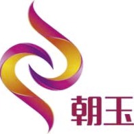 上海朝玉信息科技有限公司