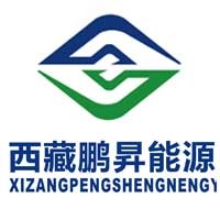 西藏鹏昇能源科技有限公司 - 公司logo