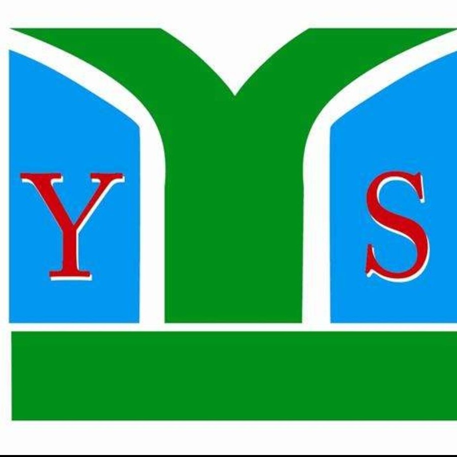 上海赢双电机科技股份有限公司