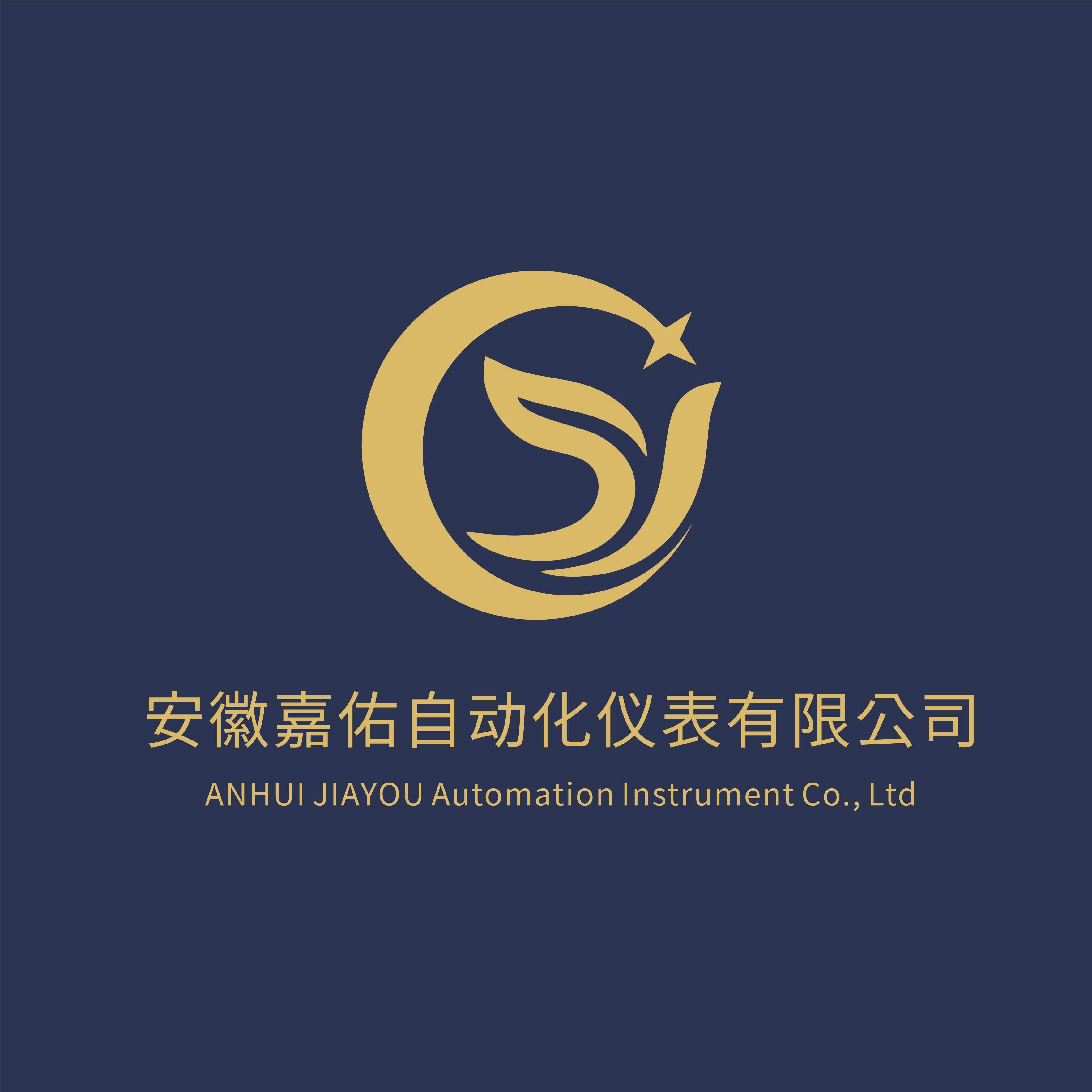 安徽嘉佑自动化仪表有限公司 - 公司logo