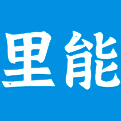 上海里能信息技术有限公司