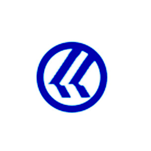 Chongqing People's Metal Products Co., Ltd - Company Logo