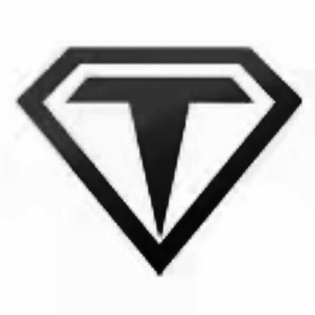 天津泰科蝶阀制造有限公司 - 公司logo