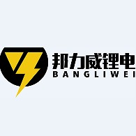 深圳市邦力威科技有限公司