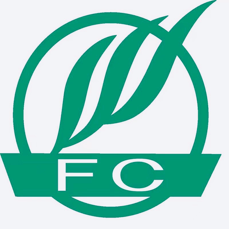 广东逢春制药有限公司