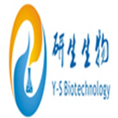 上海研生实业有限公司 - 公司logo