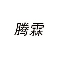 腾霖电气（山东）有限公司