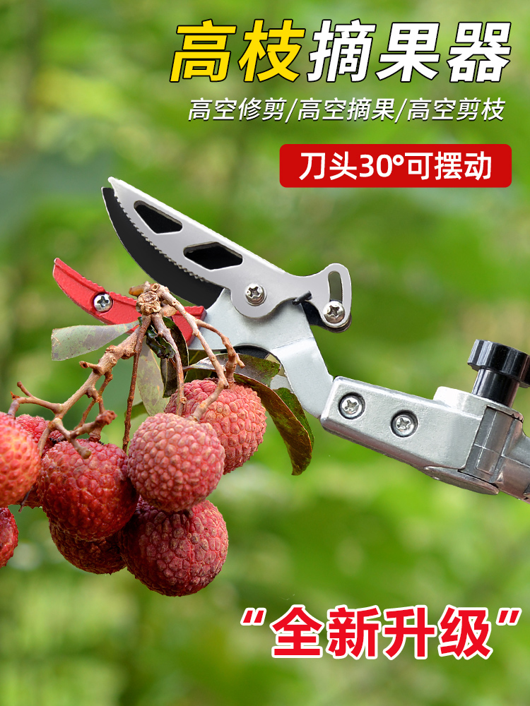 进口摘果神器伸缩杆摘枇杷荔枝高空剪刀黄皮水果摘果器杨梅芒果剪 - 百度爱采购