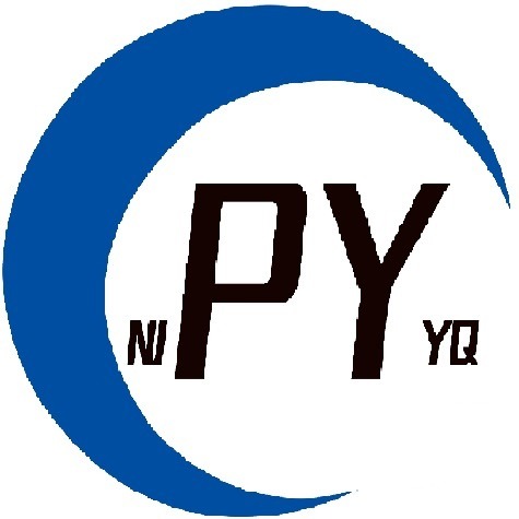 Nanjing Peiyin Instrument Co., Ltd - Company Logo