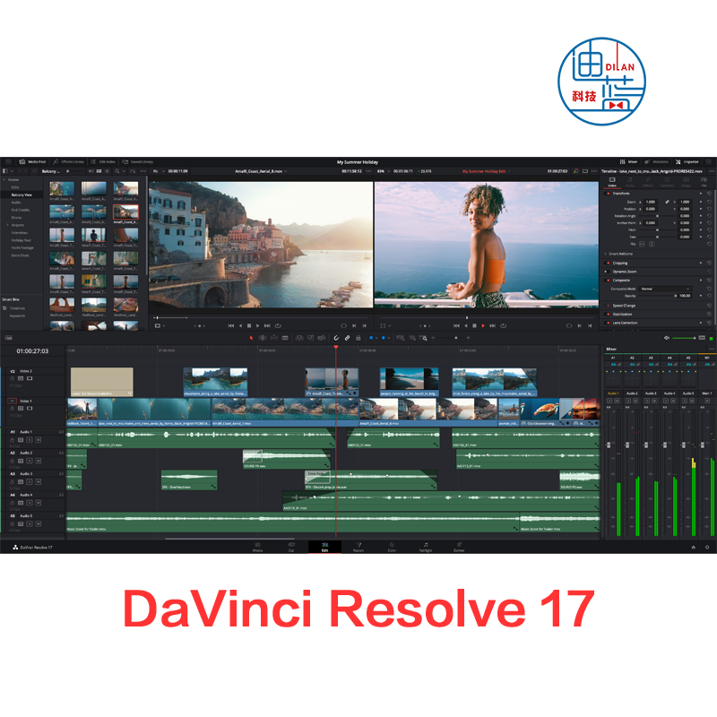 DiBLUEVS达芬奇BMD DaVinci Resolve 17专业调色软件适用于MacPC