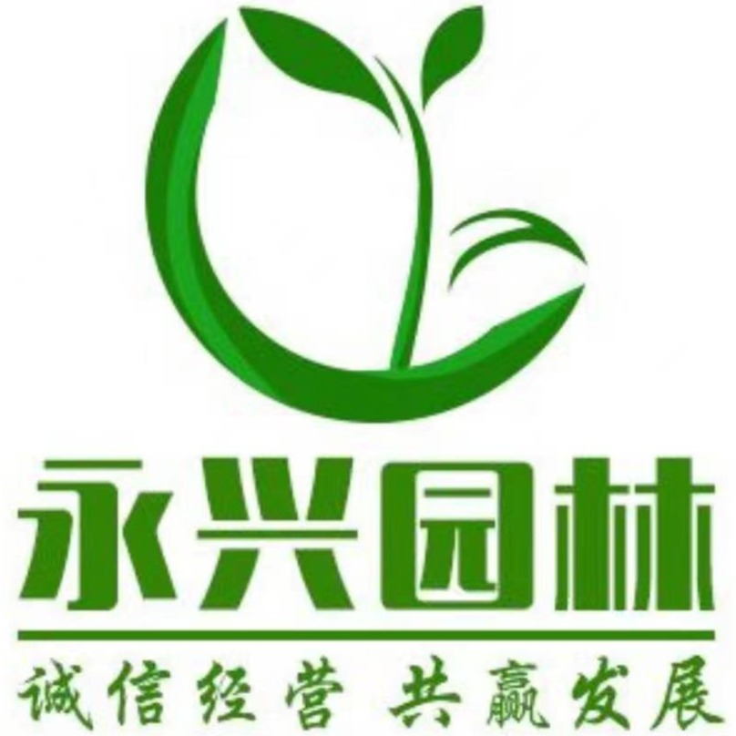 博野县永兴苗木种植有限公司
