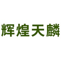 沈阳辉煌天麟新能源科技有限公司