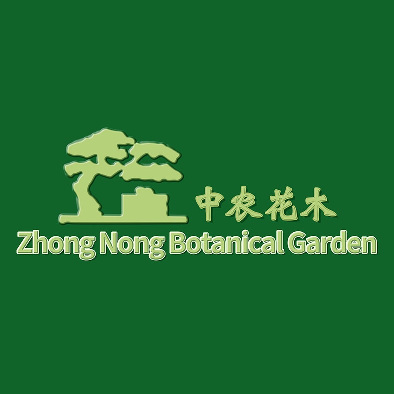 锡山区鹅湖中农花木苗圃