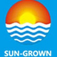 江门市先泰机械制造有限公司 - 公司logo