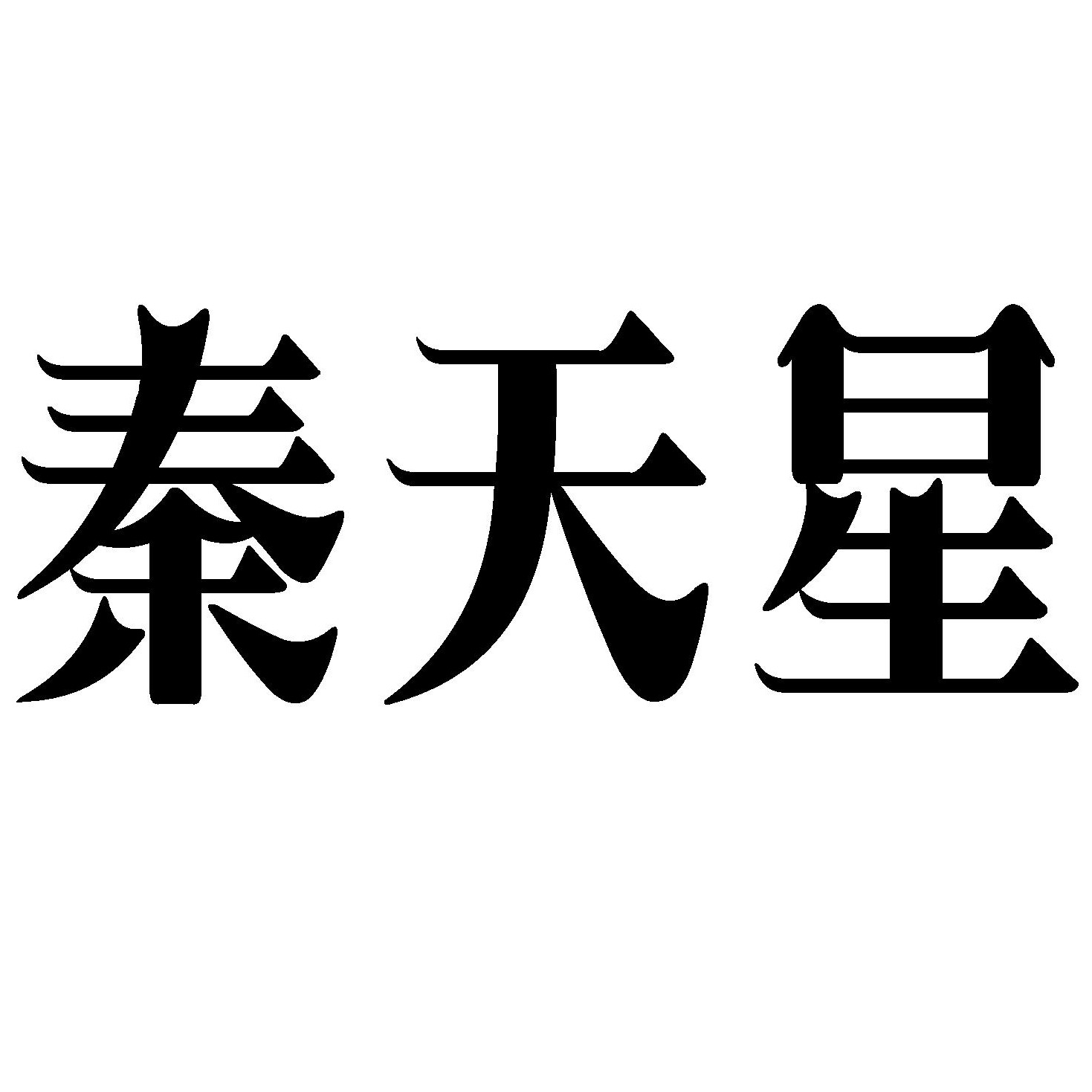 陕西秦星锅炉制造有限公司 - 公司logo