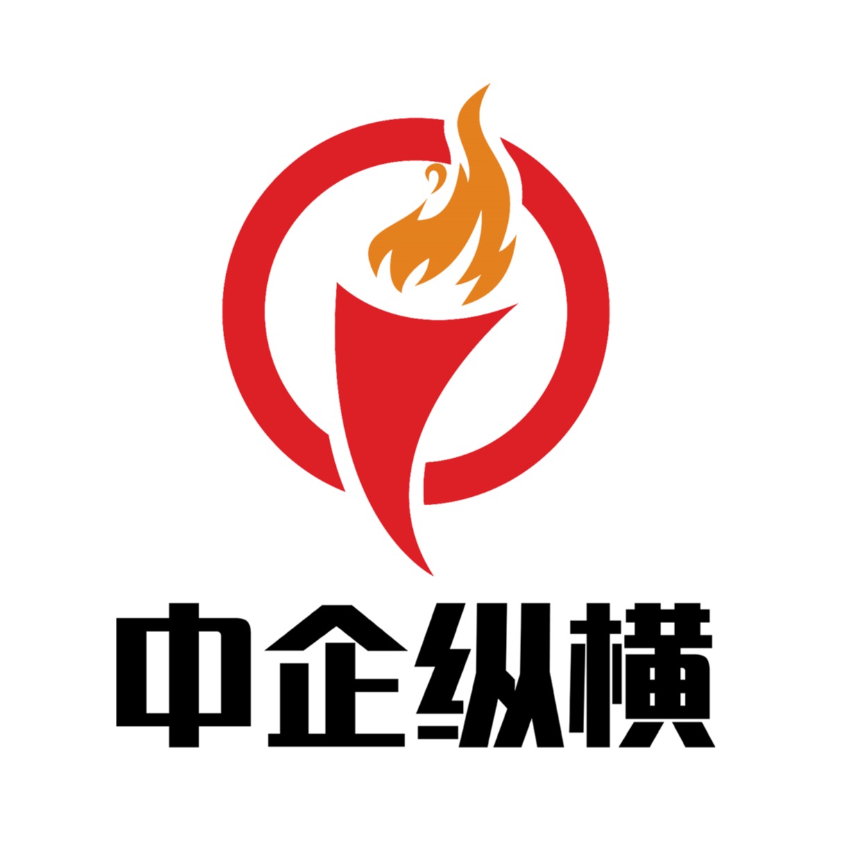 中企纵横企业管理（北京）有限公司