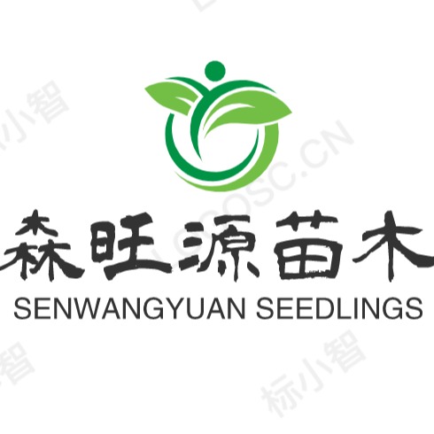 定西市安定区森旺源农业农民专业合作社