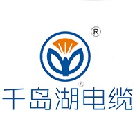 千岛湖中策控股有限公司