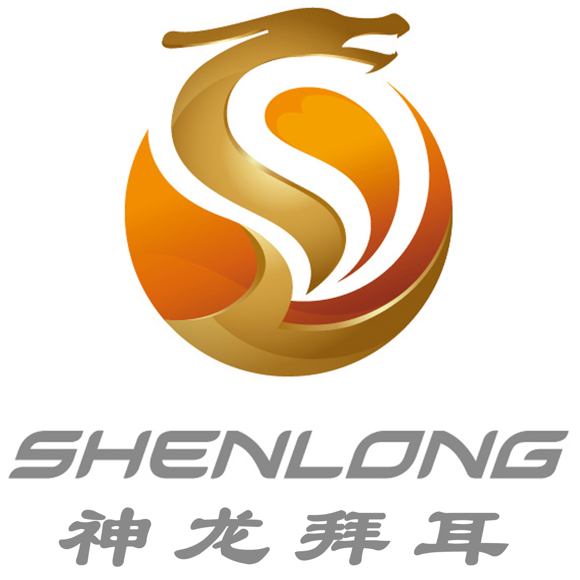 神龙拜耳科技衡水股份有限公司