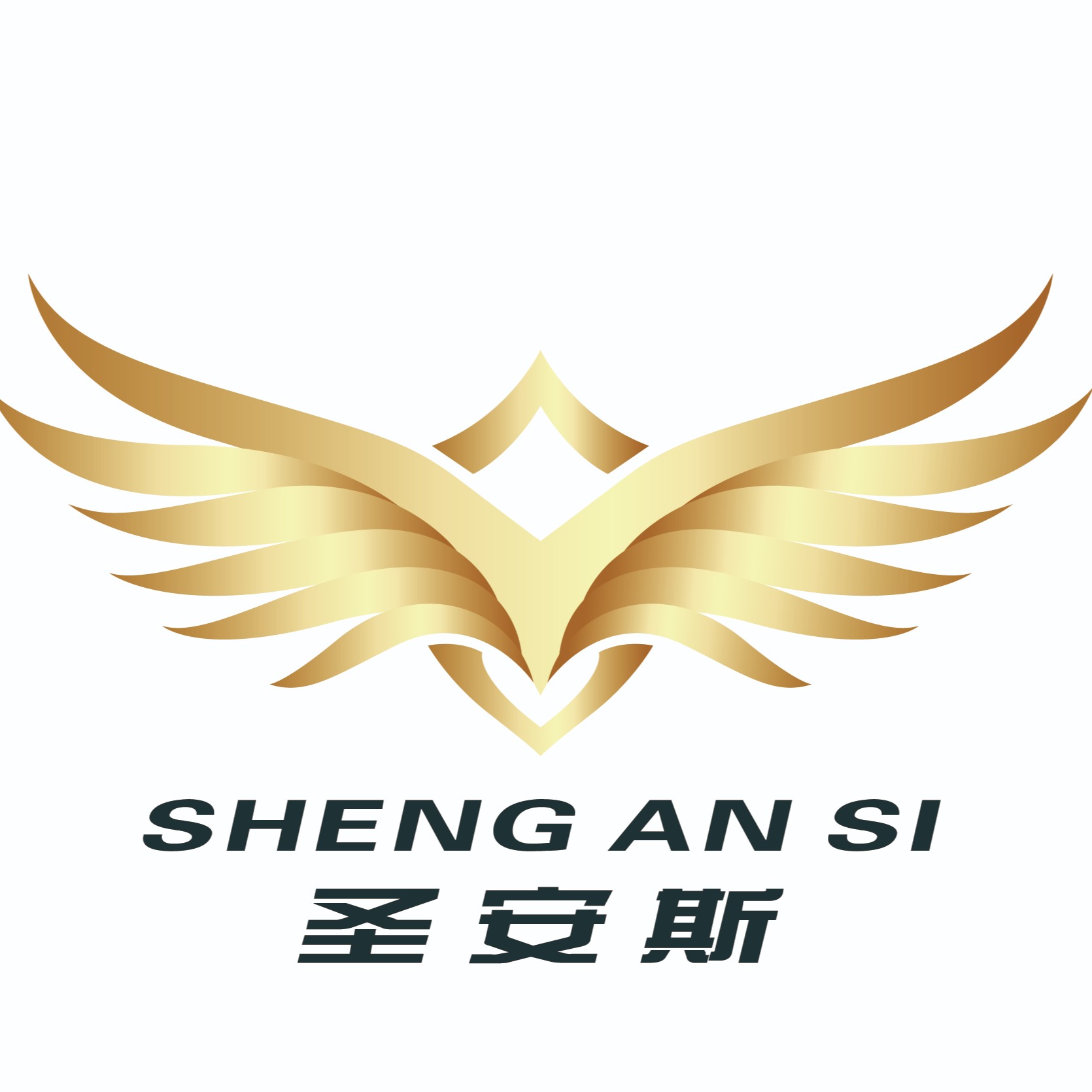 圣安斯科技(东莞)有限公司