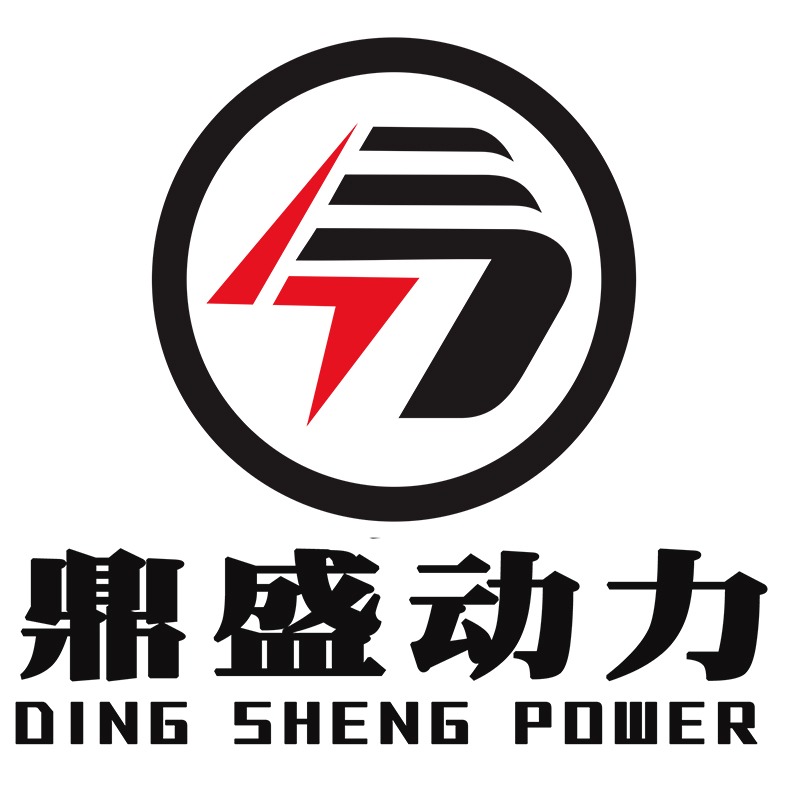 山东鼎盛动力设备有限公司