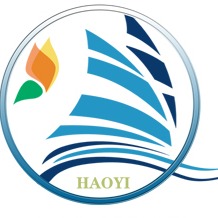 Shandong Haoyi Machinery Technology Co., Ltd - Company Logo