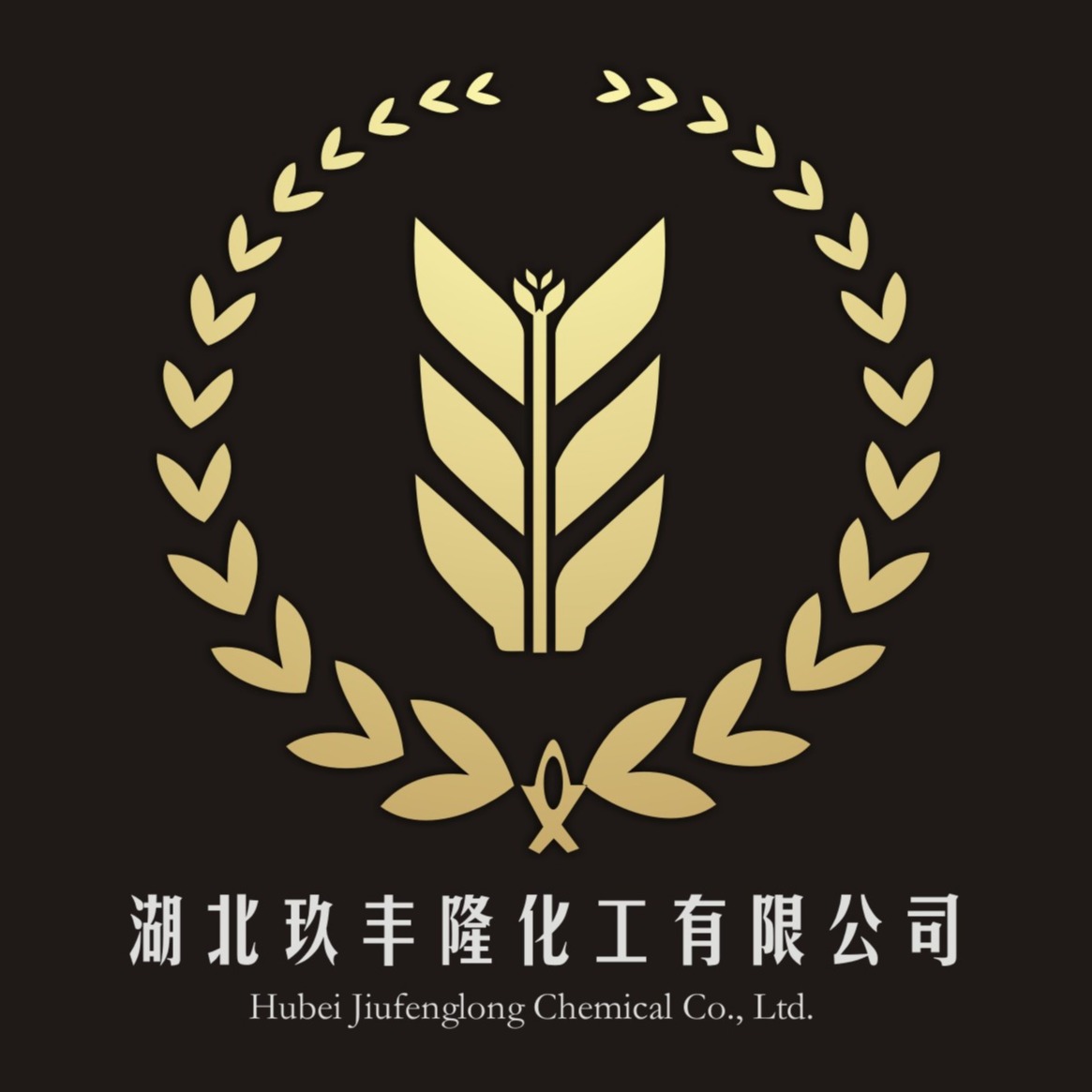 湖北玖丰隆化工有限公司 - 公司logo