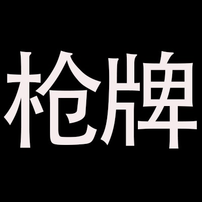 浙江枪牌科技有限公司