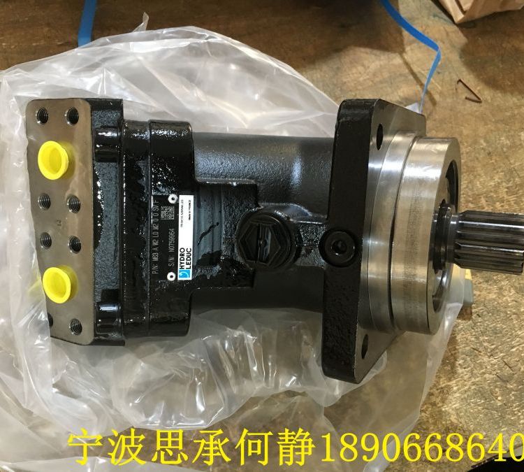 LEDUC力度克马达 M63AW1N0M200SVF液压马达原装