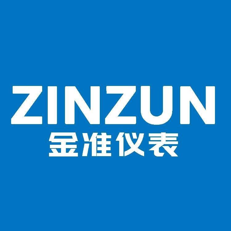 浙江金准仪表有限公司 - 公司logo