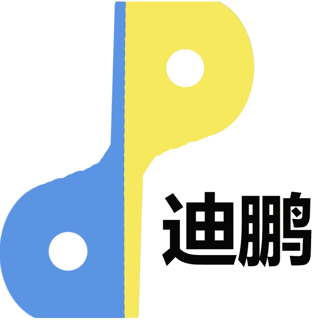 南京迪鹏电子科技有限公司