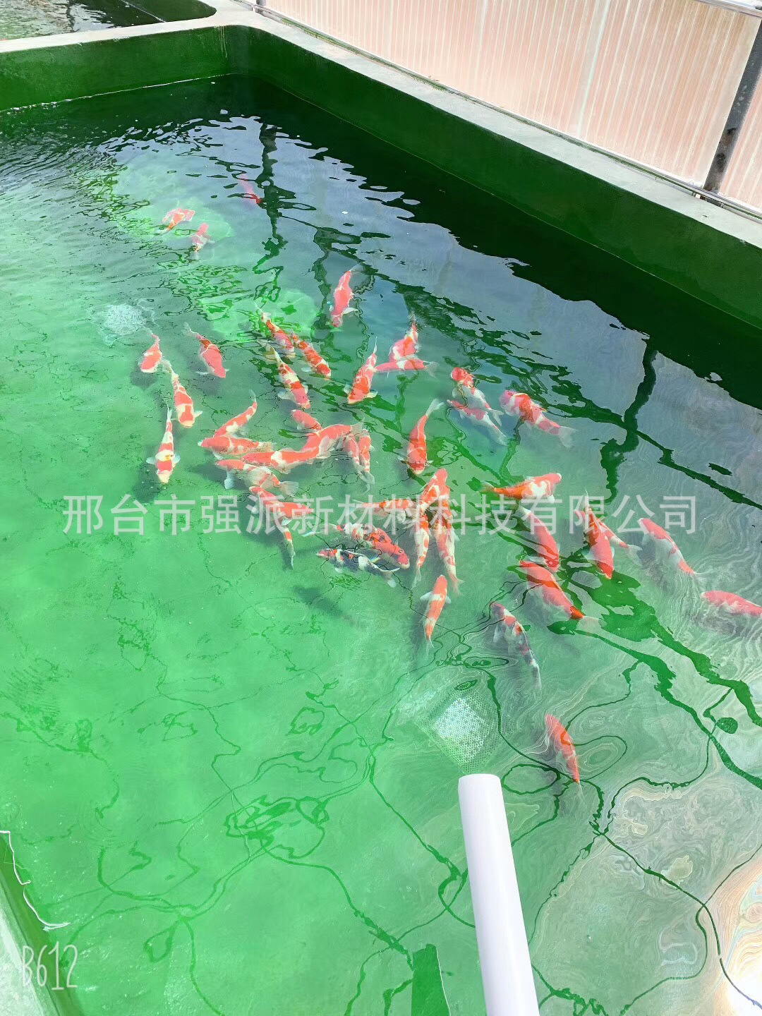 Shandong Fish Pond Red Waterproof Paint Fish Pond Paint Waterproof Paint Koi Fish Pond Resin Paint Aquaculture Pond Paint