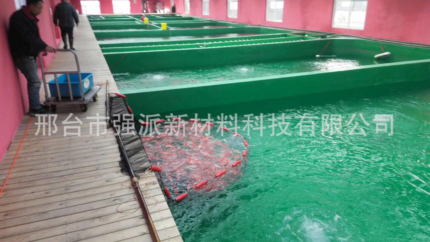 Fujian Fish Pond Waterproof Material Epoxy Resin Fish Pond Primer Tangshan Two component Waterborne Fish Pond Green Paint