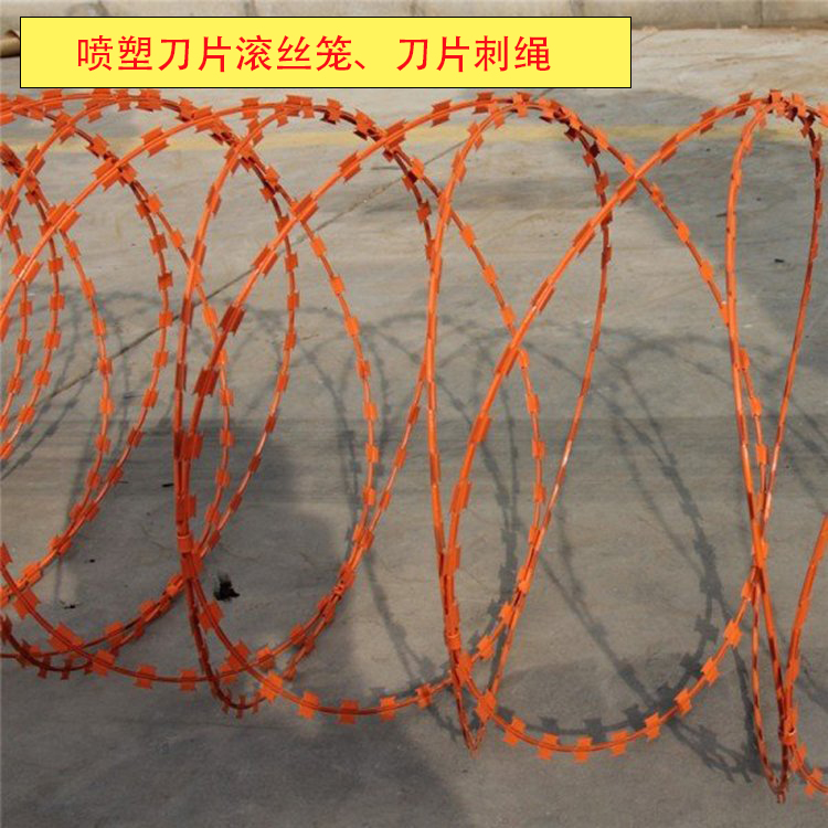 Burglar proof iron thistle, hot-dip galvanized blade, thorn rope fence, fence A, anti climbing thorn rope, rolling cage factory