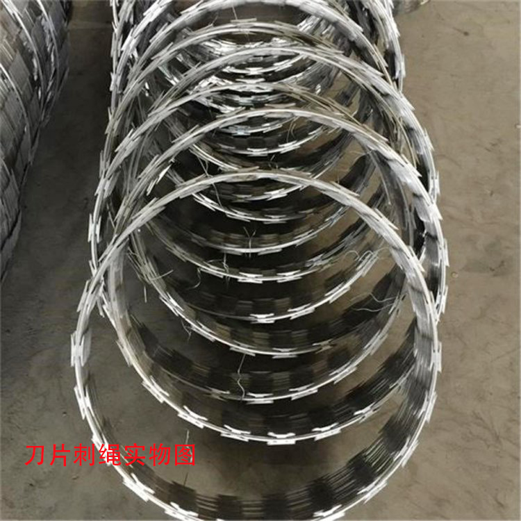 Burglar proof iron thistle, hot-dip galvanized blade, thorn rope fence, fence A, anti climbing thorn rope, rolling cage factory