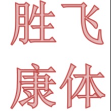 四川胜飞康体体育场地设施工程有限公司