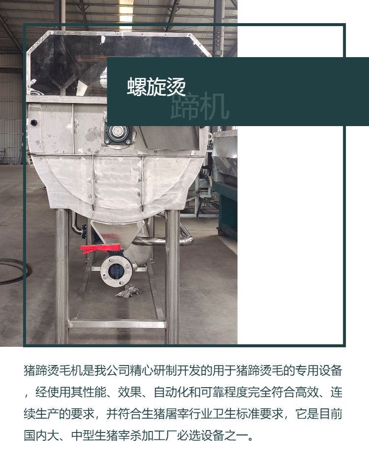 Pig trotters spiral ironing machine head and hoof processing line, Zhongkai Machinery on-site manufacturer, worry free after-sales service