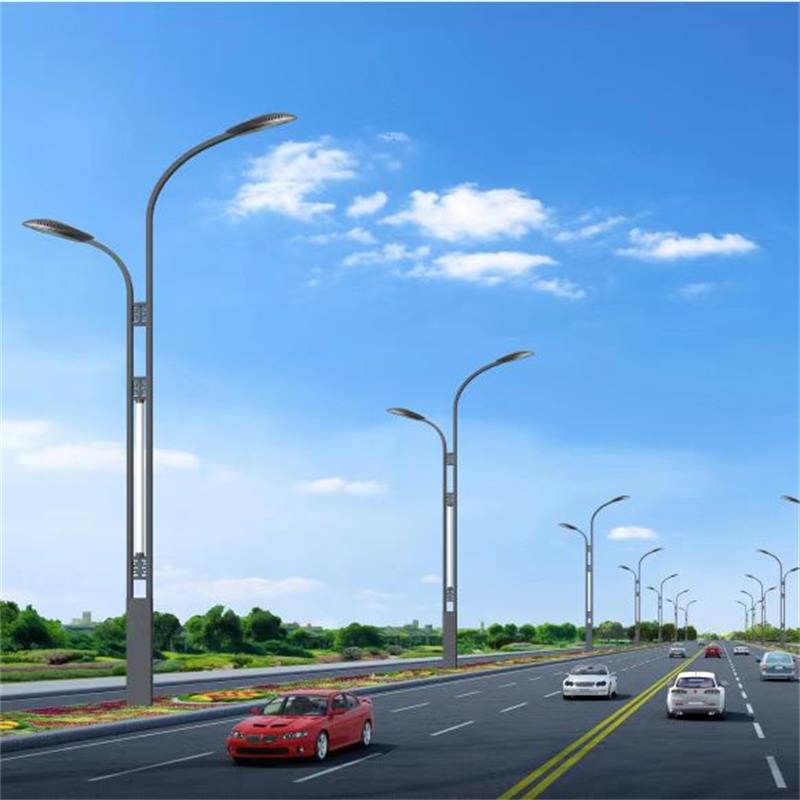 8-meter parallel arm dual lamp head municipal LED street light New rural high pole road lighting light Xinyonghong