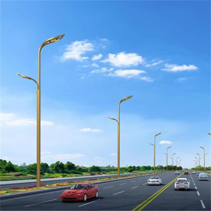 8-meter parallel arm dual lamp head municipal LED street light New rural high pole road lighting light Xinyonghong